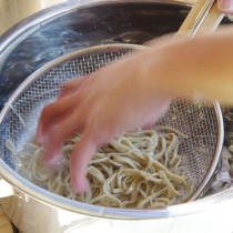 参加者が蕎麦を水で冷やす
