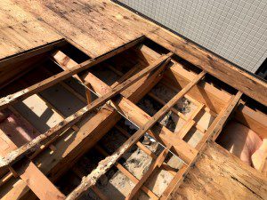 木部が腐食していることが分かる