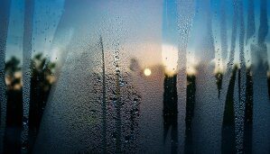 窓や壁に結露ができるのは何故？防止するにはどうしたらいい？